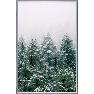 Репродукции  Репродукции  Природа - Картина в раме 20ПР